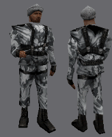 csczds_arctic_lo