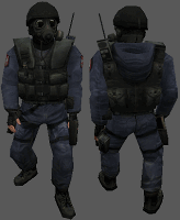 css_sas1