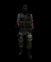css_terro