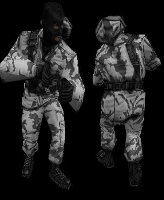 csw_arctic_new