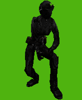 fassn3