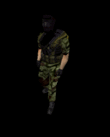 fhgrunt_beta