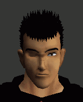gattsu