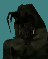 ghillie1