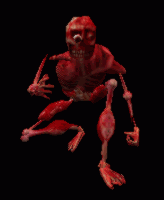 gibman2