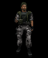 grunt11