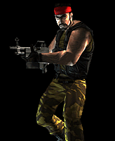guerilla