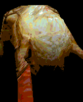 headcrab2