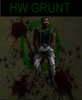 hwgrunt2