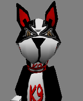 k9_2