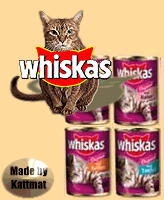 kattmat