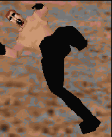 kungfu
