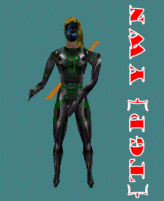 masked_ninja