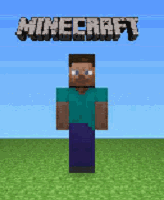 minecraf_steve