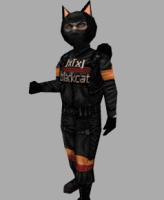 miniblackcat