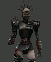 nightfemalea