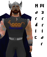 nordicwarrior