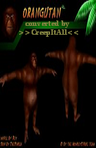 orangutan