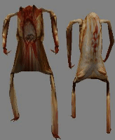 pl_headcrab2