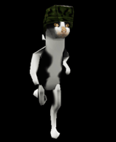 pulga_shephard
