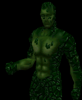 reptile