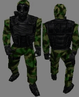 sas55