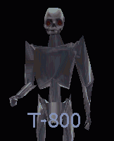 t-800
