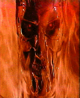 t800