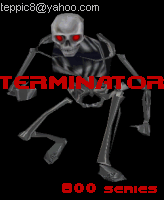 t800_1