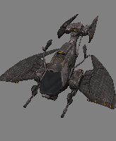 t_talon
