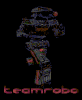 teamrobo