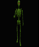 toxic_skeleton