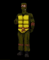 turtle