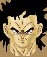 vegita