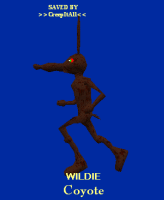 wildie_coyote