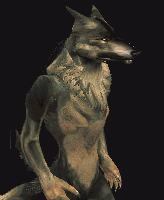 woft