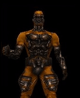 yellowrick